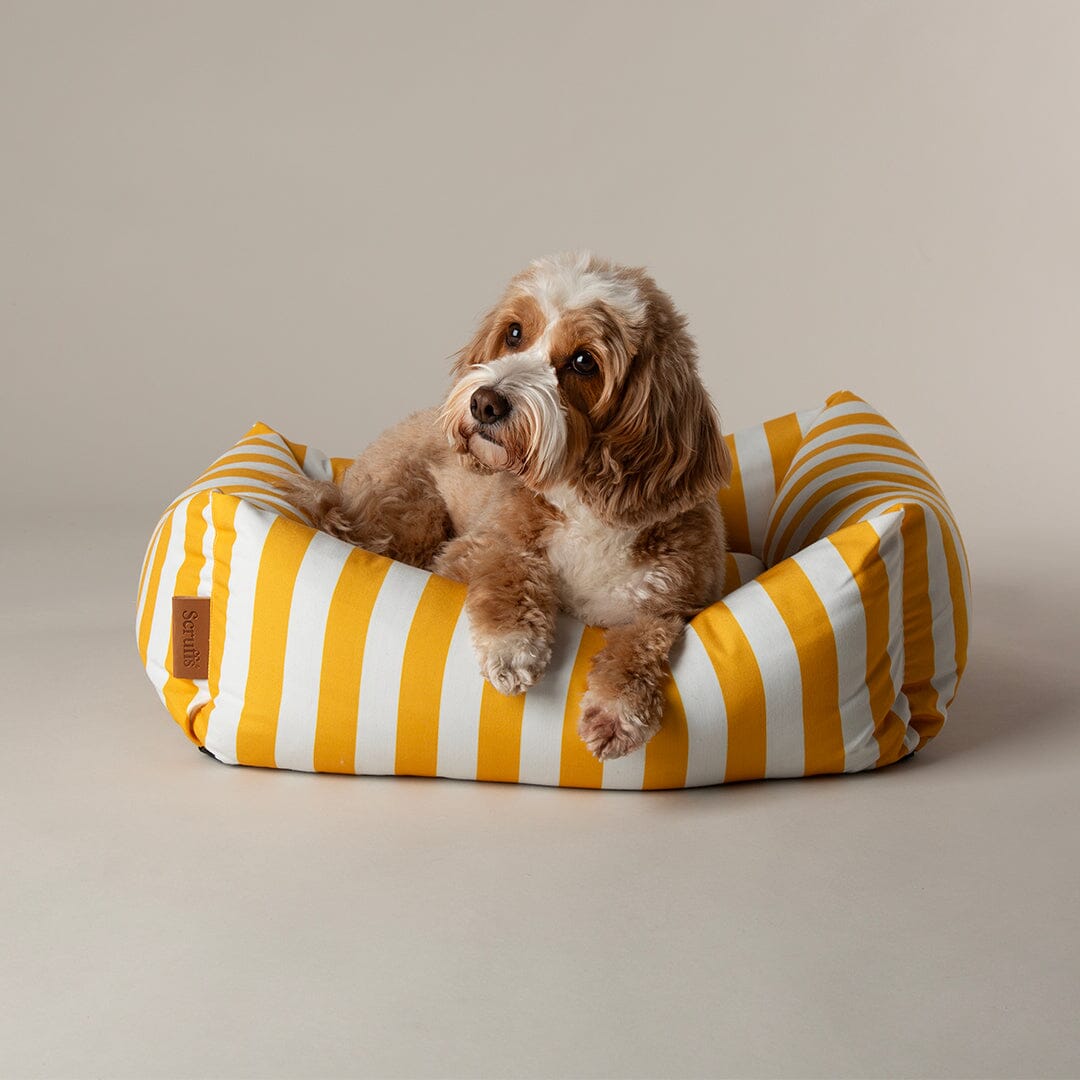 Amalfi Striped Box Bed