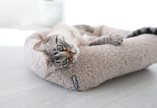 Luxury Cat Bed - MiaCara Innovative Design