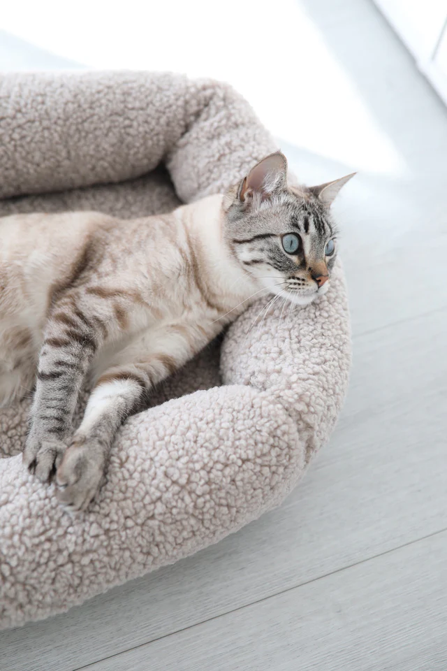 Luxury Cat Bed - MiaCara Innovative Design