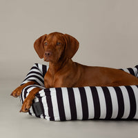 Amalfi Striped Box Bed