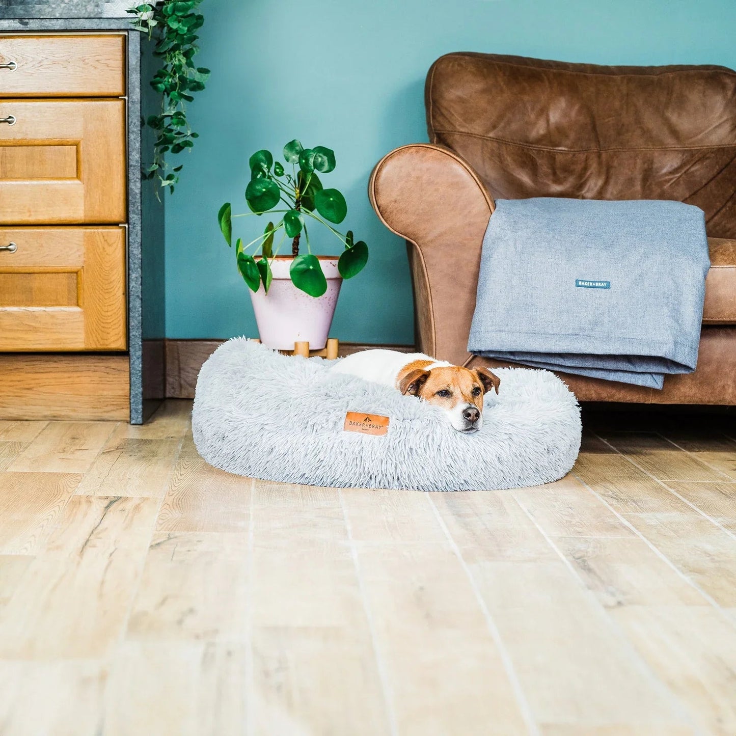 Dog lying on Baker & Bray calming donut dog bed light grey in home