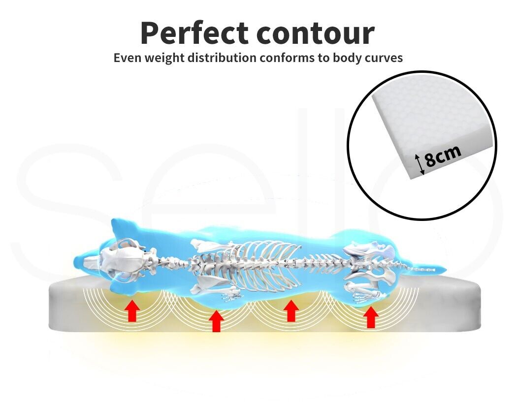 Joint & Spine Support Large Dog Bed,Roomy Soft Foam Mattress